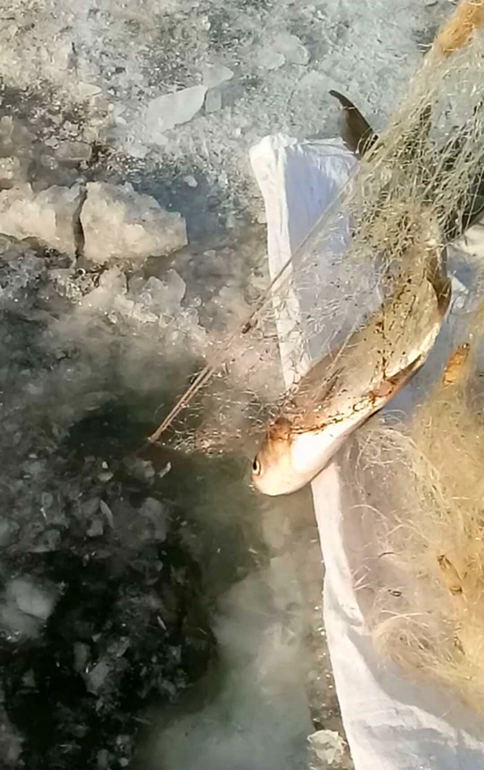 微信图片_20180115133931_副本.jpg