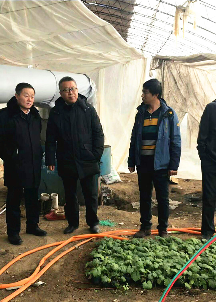 微信图片_20180202230239_副本.jpg