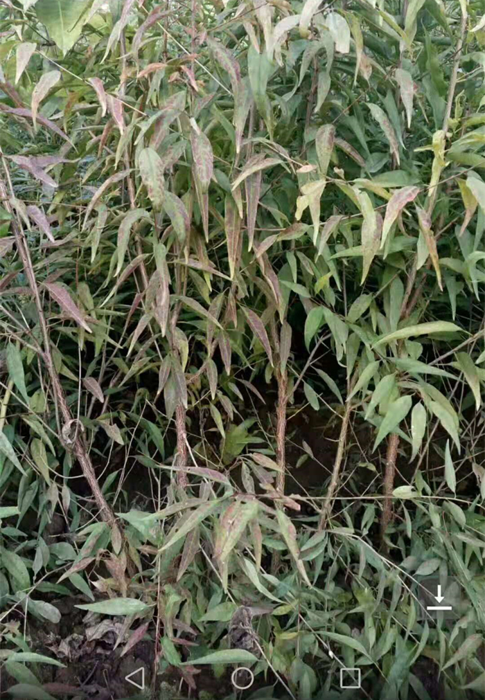 4_副本.jpg