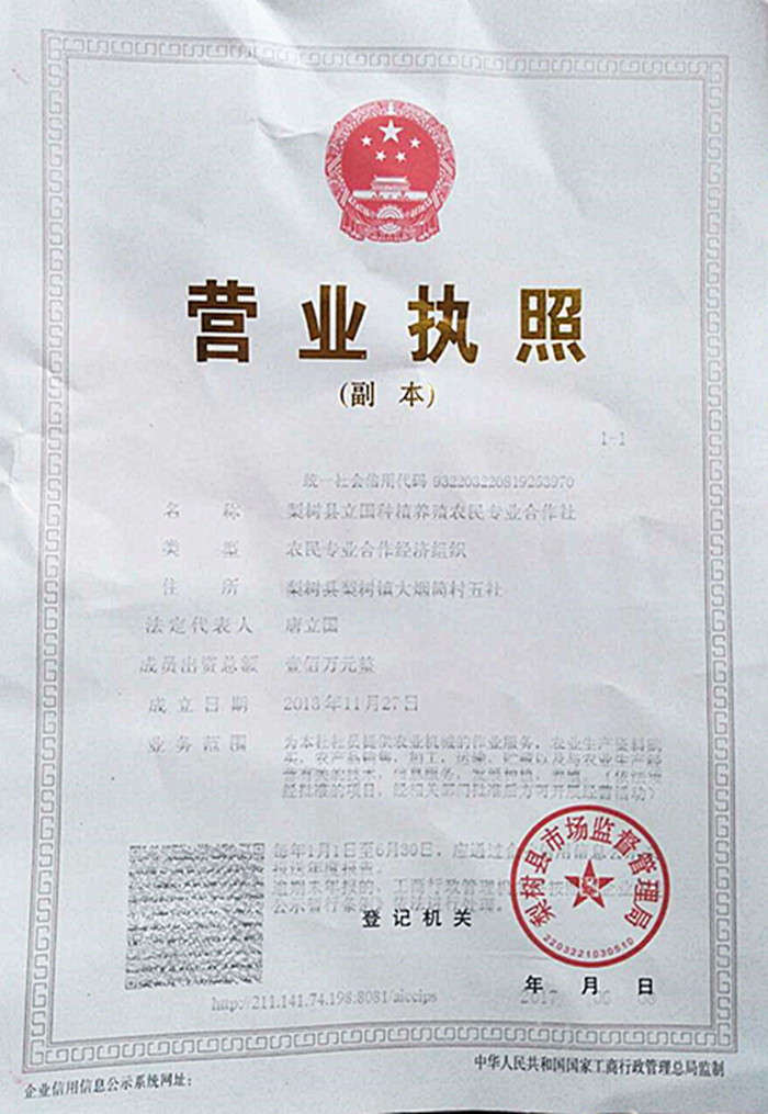 21_副本.jpg