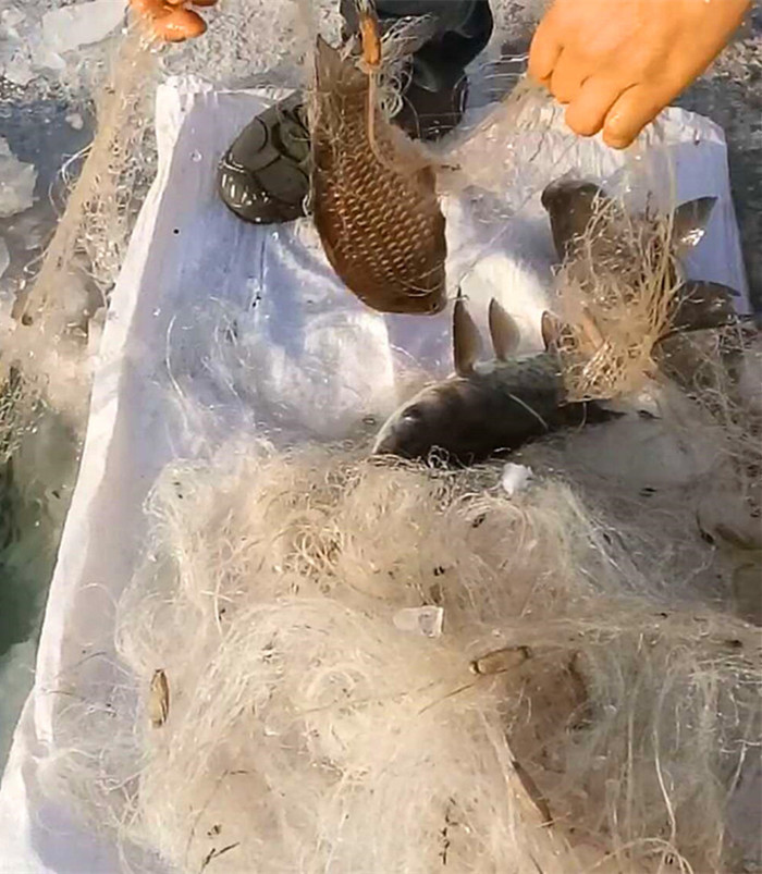 微信图片_20180115133924_副本_副本.jpg