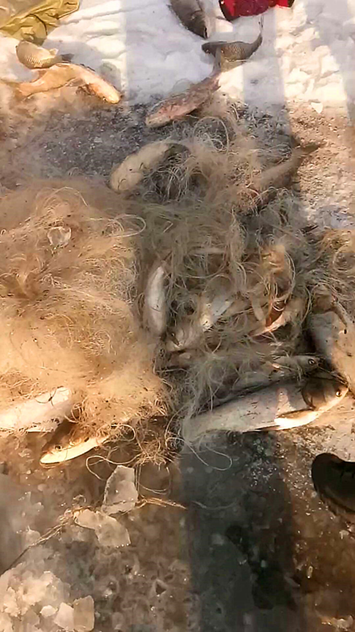 微信图片_20180115133933_副本.jpg