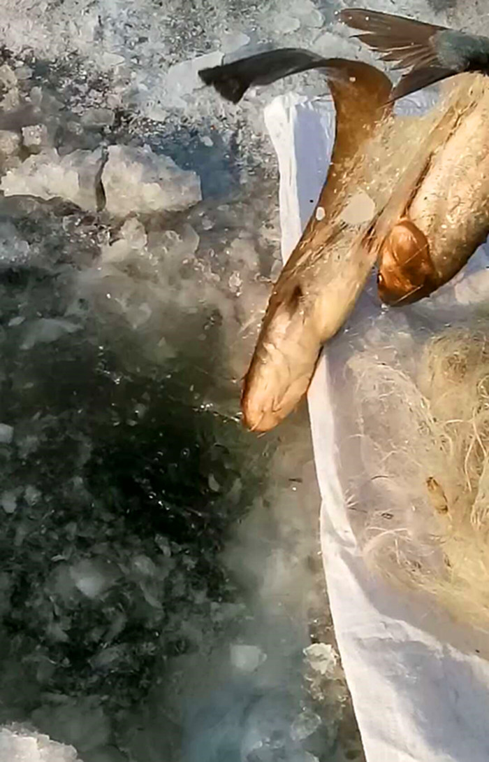 微信图片_20180115133928_副本.jpg