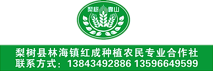 微信图片_20180111123413_副本_副本.png