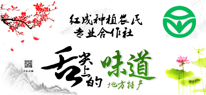 首图.png