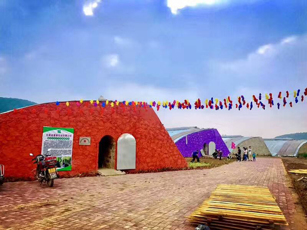 省科技厅领导莅临铁东惠丽农场参观指导