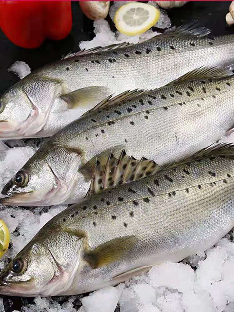 【鱼,海产品】铁西丛泉湖水库