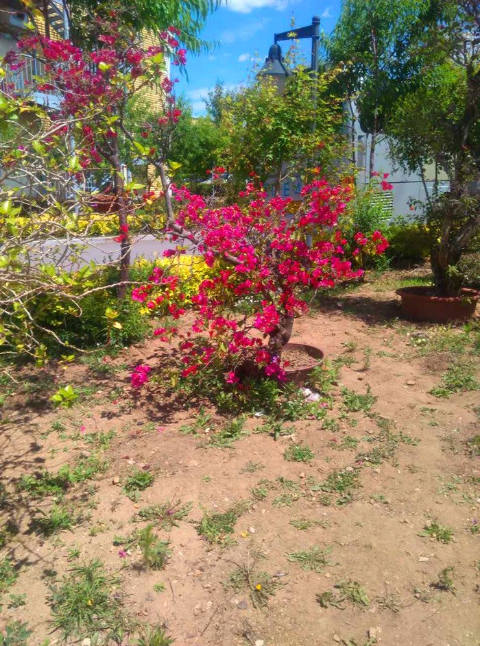 铁东塔山花鸟园 - 四平乡村游_四平市供销社